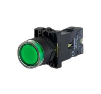 BOTAO  COMANDO ILUMINADO 22MM NA VD PLASTICO 220V 26990 BSPIVD220 